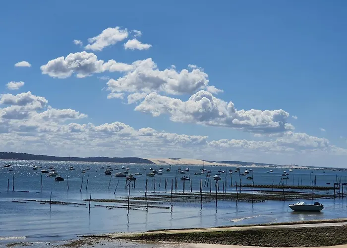 Daire Le Cocooning Andernos-les-Bains