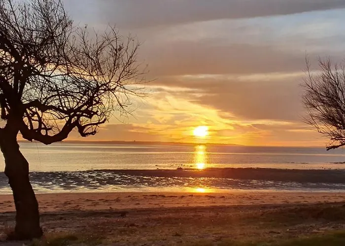 Le Cocooning Lejlighed Andernos-les-Bains